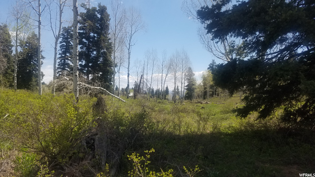 140 Unassigned, Wanship, UT 84017 — photo 12