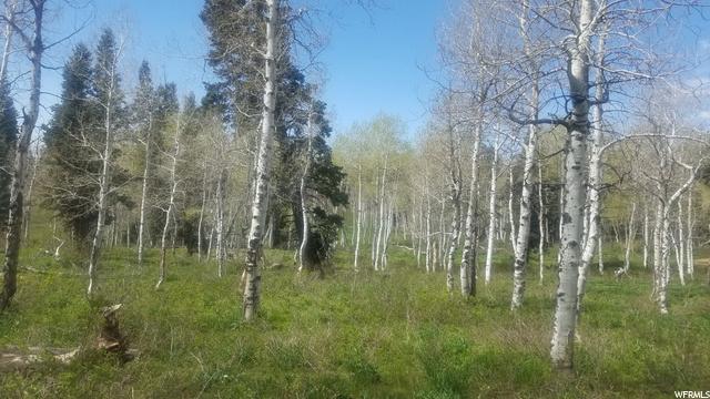 140 Unassigned, Wanship, UT 84017 — photo 6