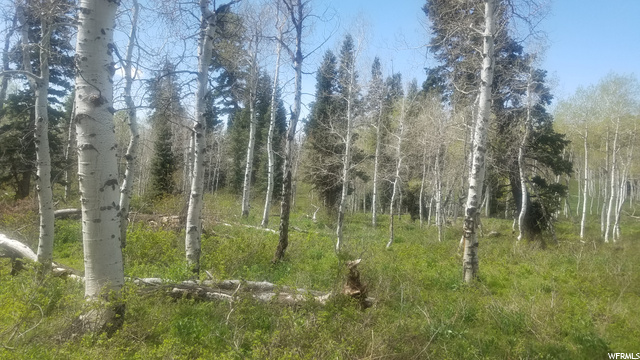 140 Unassigned, Wanship, UT 84017 — photo 8