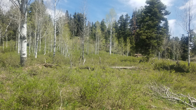 140 Unassigned, Wanship, UT 84017 — photo 9