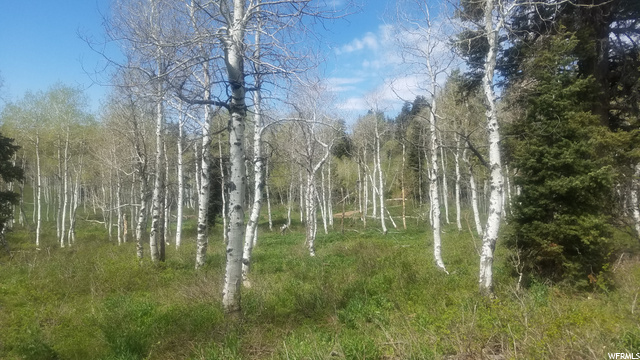 140 Unassigned, Wanship, UT 84017 — photo 7
