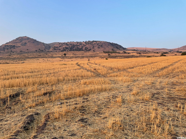 16418 N Beaver Dam Rd, Beaverdam, UT 84306 — photo 4