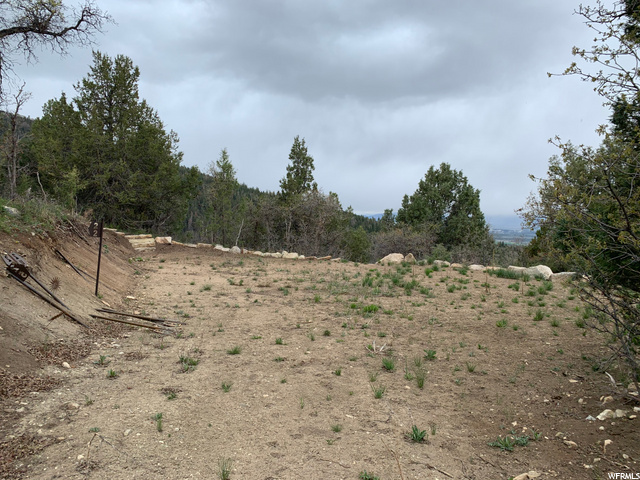 #21, Mt Pleasant, UT 84647 — photo 9