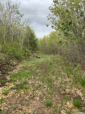 #21, Mt Pleasant, UT 84647 — photo 6