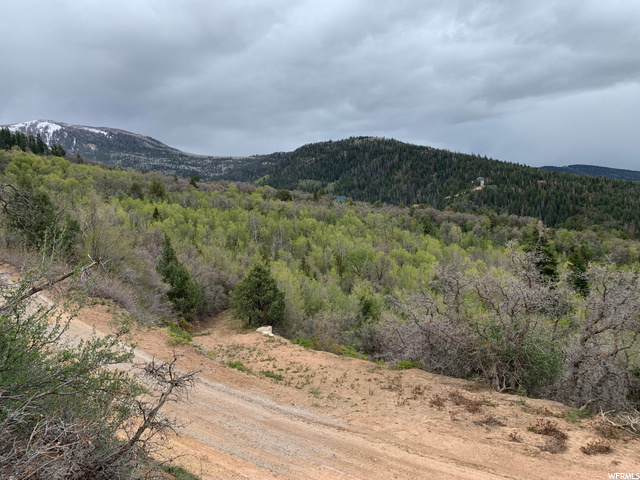 #21, Mt Pleasant, UT 84647 — photo 4
