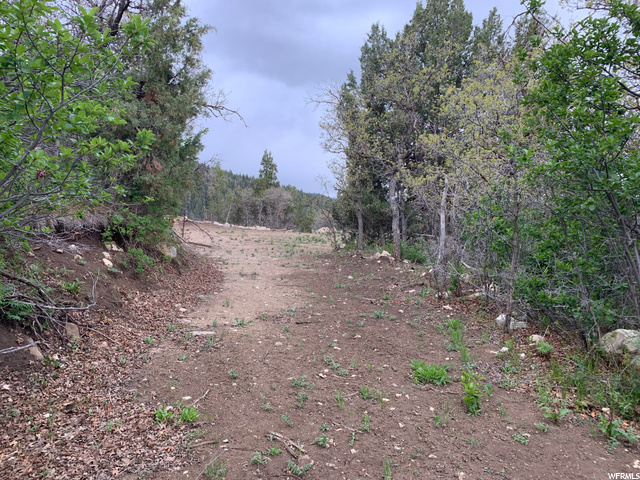 #21, Mt Pleasant, UT 84647 — photo 7