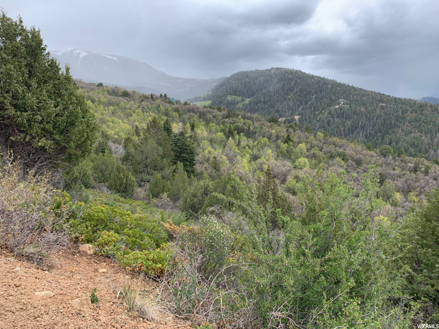 #21, Mt Pleasant, UT 84647 — photo 3