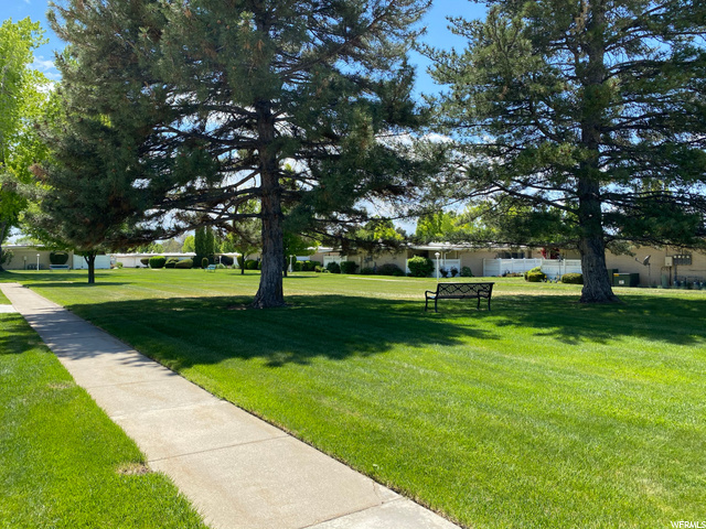 Community area