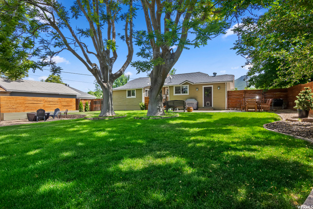 Large Backyard