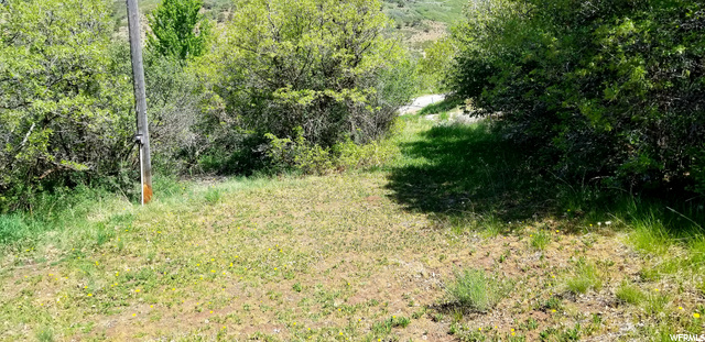 1638 E Weber Wild Rd, Oakley, UT 84055 — photo 9