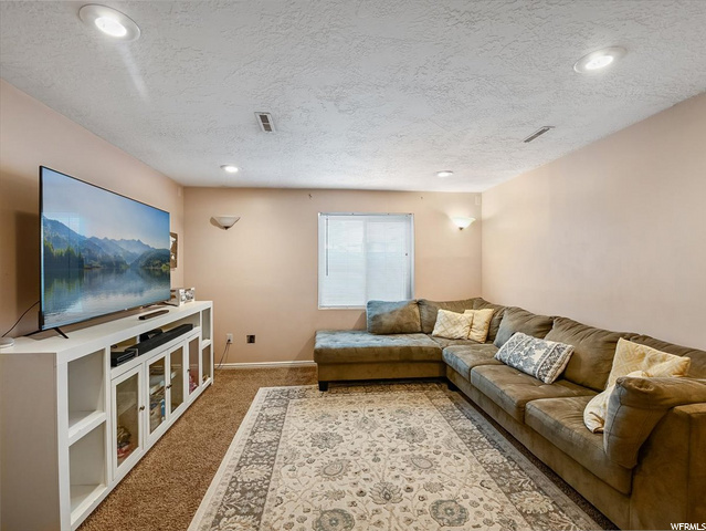 Downstairs Family Room
