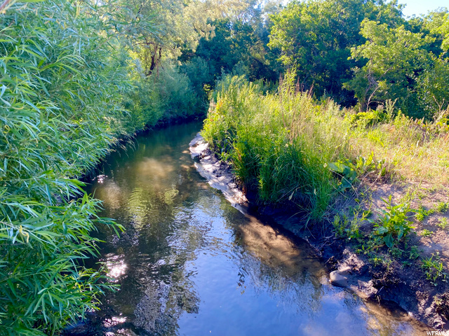 Seasonal Stream