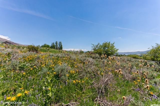 3929 N Ridge Rd E #40, Eden, UT 84310 — photo 12