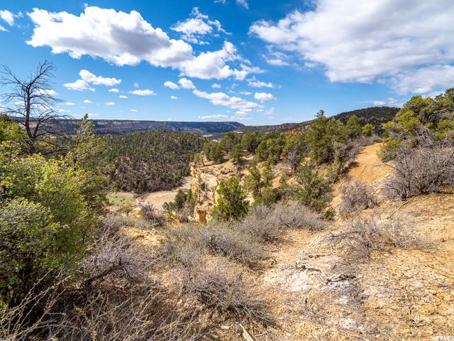Glendale, UT 84729 — photo 5