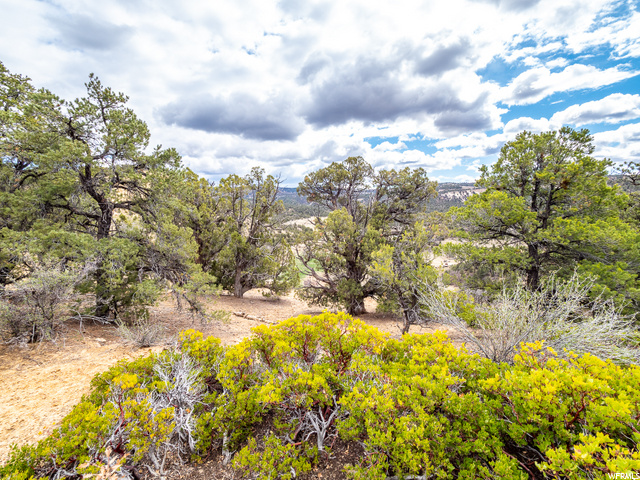 Glendale, UT 84729 — photo 11