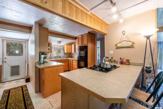 1606 W Spring Ln, Midway, UT 84049 — photo 4