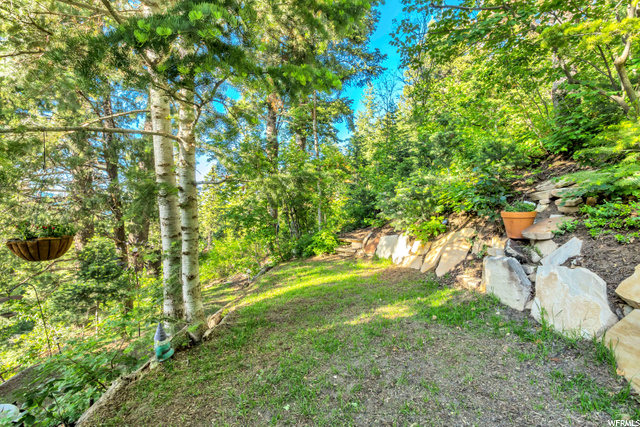 Side yard