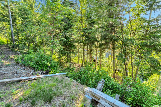 Area for Playhouse or Ice Rink