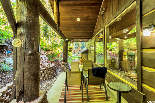 Back Patio