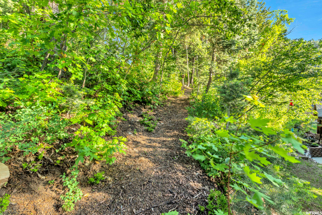 Paths throughout