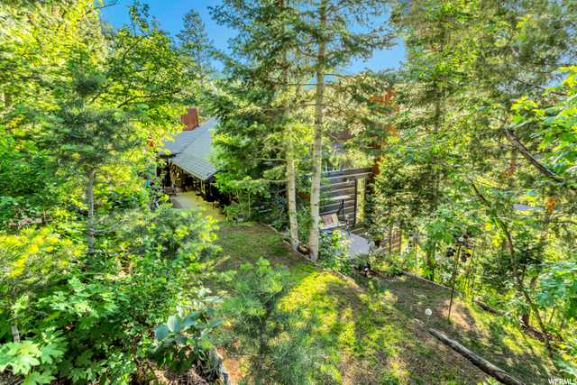 Back View from above