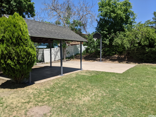 Backyard looking North East