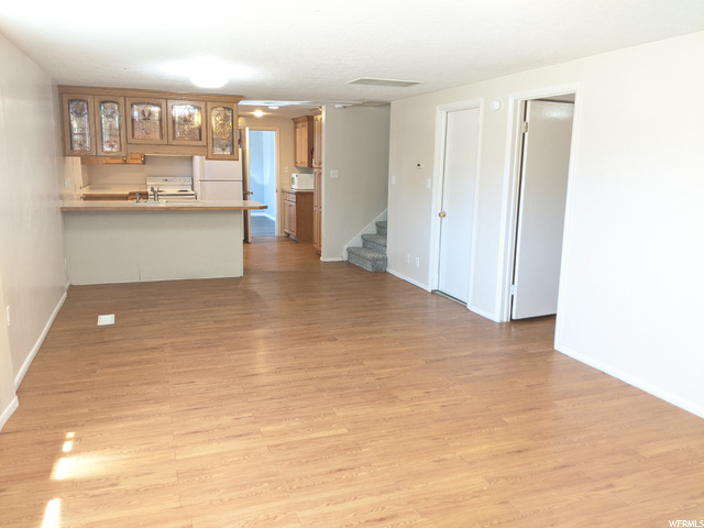 Basement Living Room and Kitchen