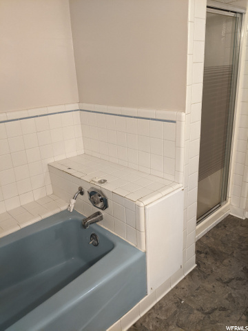 Basement Bath and Separate Shower