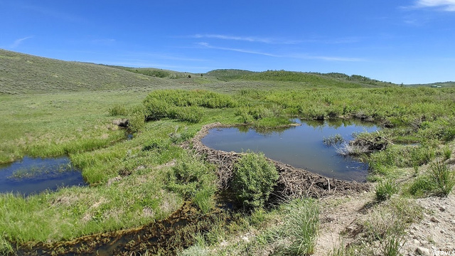 4000 Ant Flat Rd #53, Avon, UT 84328 — photo 3