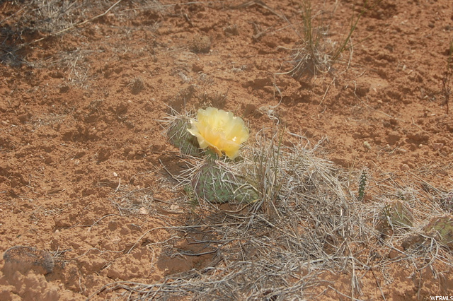 85 E Markle #B, La Sal, UT 84530 — photo 4