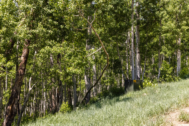 5475 N Hidden Way, Midway, UT 84049 — photo 4