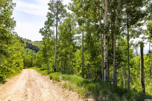 5475 N Hidden Way, Midway, UT 84049 — photo 7
