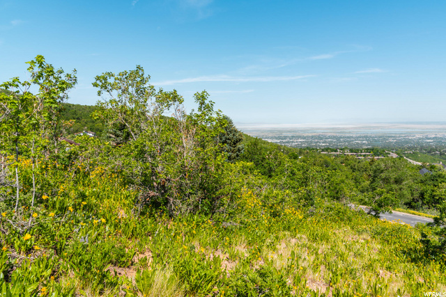 1838 E 2475 S #153, Bountiful, UT 84010 — photo 10