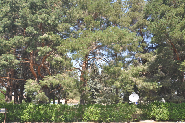 2280 S 900 W, Perry, UT 84302 — photo 5
