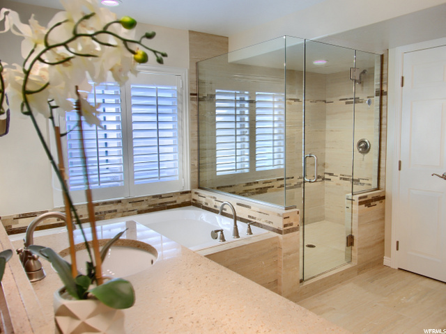 Luxury Basement Bath
