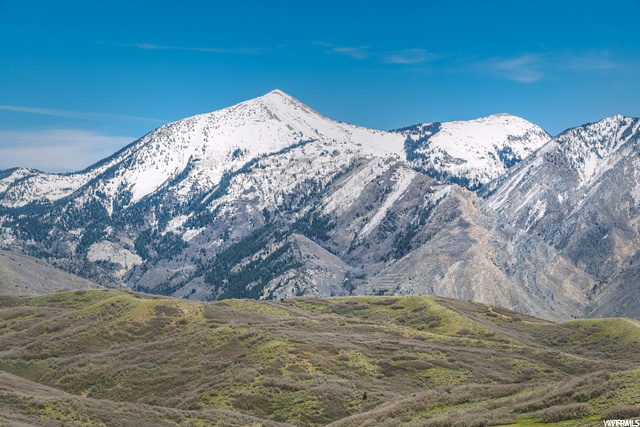 Views of Box Elder