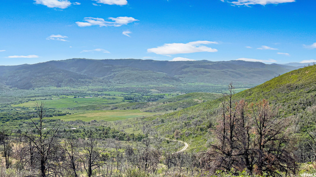 #480, Indianola, UT 84629 — photo 9