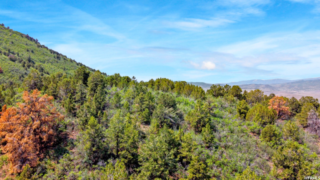 #480, Indianola, UT 84629 — photo 5