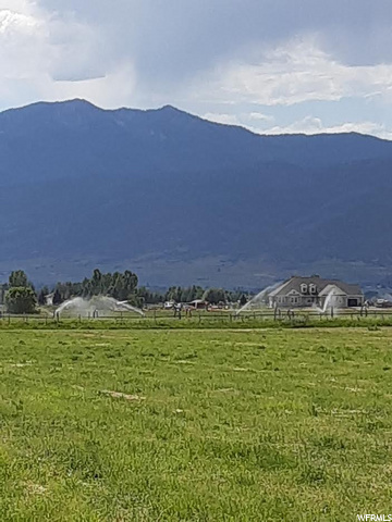 rear 5 acres