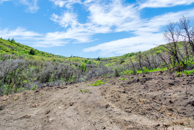 #22, Huntsville, UT 84317 — photo 9