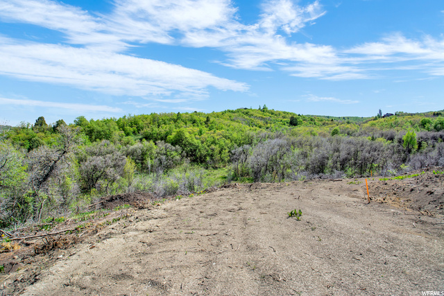 #22, Huntsville, UT 84317 — photo 10