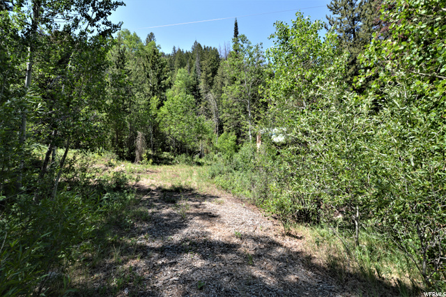 392 Bear Hollow Rd E, Kamas, UT 84036 — photo 11