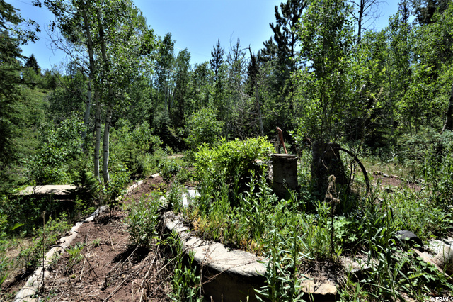 392 Bear Hollow Rd E, Kamas, UT 84036 — photo 12