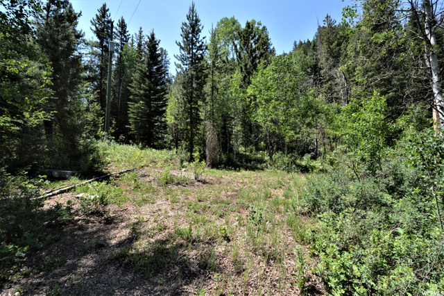 392 Bear Hollow Rd E, Kamas, UT 84036 — photo 9
