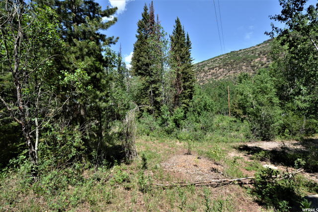 392 Bear Hollow Rd E, Kamas, UT 84036 — photo 10
