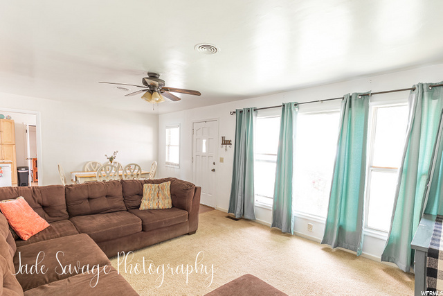 264 E 100 N, Salina, UT 84654 — photo 4