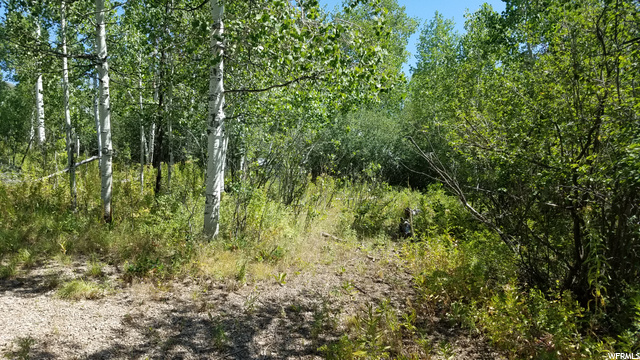 35 Shoshone #35, Oakley, UT 84055 — photo 9