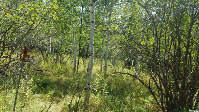35 Shoshone #35, Oakley, UT 84055 — photo 4