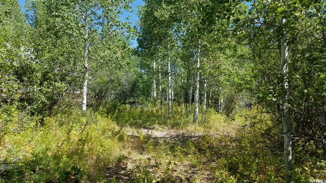 35 Shoshone #35, Oakley, UT 84055 — photo 12