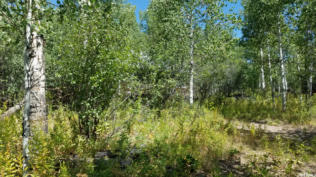 35 Shoshone #35, Oakley, UT 84055 — photo 11